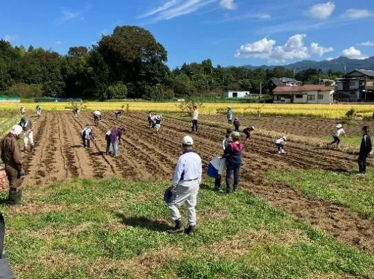 水田での共同作業の場面